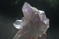 Natural Jacaranda Amethyst Clusters  x 6 From Mumbwa, Zambia - Toprock Gemstones and Minerals 