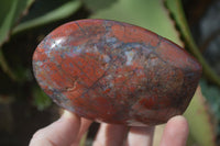 Polished Red Flame Jasper Standing Free Forms  x 6 From Madagascar