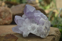 Natural Jacaranda Amethyst Clusters  x 3 From Mumbwa, Zambia - Toprock Gemstones and Minerals 