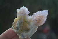 Natural Rare Spirit Ametrine Quartz Specimens  x 6 From Boekenhouthoek, South Africa - Toprock Gemstones and Minerals 