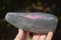 Polished Labradorite Standing Free Forms With Purple & Blue Flash  x 2 From Tulear, Madagascar - Toprock Gemstones and Minerals 