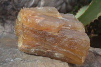 Natural Honey Aragonite Etched & Cobbed Pieces  x 2 From Namibia