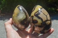 Polished Septaria Dragon's Eggs (Calcite & Aragonite) x 3 From Mahajanga, Madagascar - TopRock