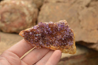 Natural Dark "Amethystos" Amethyst Clusters  x 24 From Kwaggafontein, South Africa - TopRock