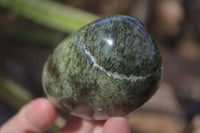 Polished Leopard Stone Standing Free Forms x 6 From Zimbabwe