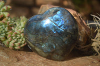 Polished  Large Puffy Labradorite Hearts  x 2 From Tulear, Madagascar