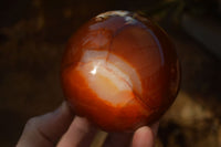 Polished  Stunning Carnelian Agate Spheres  x 2 From Madagascar