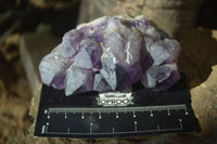 Natural Dark Amethyst Crystal Clusters x 12 From Zambia