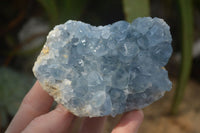 Natural Blue Celestite Crystal Specimens  x 3 From Sakoany, Madagascar - Toprock Gemstones and Minerals 