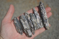 Natural Small Semi Translucent Blue Kyanite Crystals  x Sold per 1 Kg -  From Karoi, Zimbabwe - TopRock