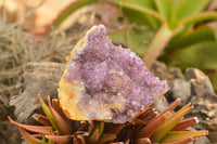 Natural Dark "Amethystos" Amethyst Clusters  x 15 From Kwaggafontein, South Africa - TopRock