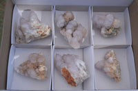 Natural Lilac Spirit Amethyst Quartz Clusters  x 6 From Boekenhouthoek, South Africa - Toprock Gemstones and Minerals 