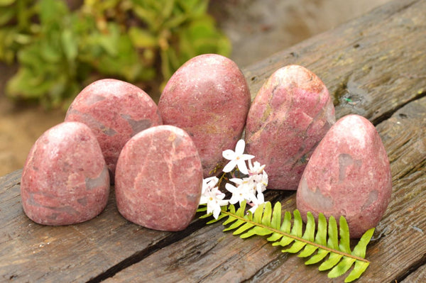 Polished Pink Rhodonite Standing Free Forms  x 6 From Madagascar - TopRock