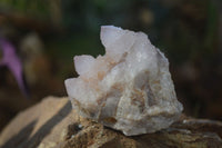 Natural Spirit Amethyst / Ametrine Quartz Clusters  x 6 From Boekenhouthoek, South Africa - Toprock Gemstones and Minerals 