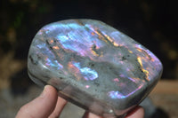 Polished Rare Purple Flash Labradorite Standing Free Forms  x 2 From Tulear, Madagascar - Toprock Gemstones and Minerals 