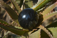 Polished Schorl Black Tourmaline Spheres x 3 From Madagascar