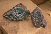 Natural Drusy Coated Ball Malachite On Dolomite Specimens  x 2 From Likasi, Congo