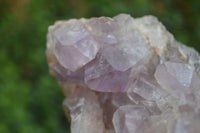 Natural Jacaranda Amethyst Cluster x 1 From Mumbwa, Zambia - TopRock