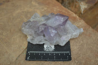 Natural Jacaranda Amethyst Clusters  x 3 From Mumbwa, Zambia - Toprock Gemstones and Minerals 