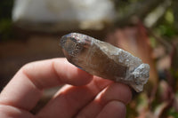 Natural Clear Smokey Quartz Crystals x 35 From Malawi