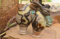 Polished Septaria Dragon's Eggs (Calcite & Aragonite) x 3 From Mahajanga, Madagascar - TopRock