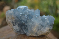 Natural Blue Celestite Crystal Specimens  x 3 From Sakoany, Madagascar - Toprock Gemstones and Minerals 