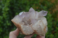 Natural Jacaranda Amethyst Cluster x 1 From Mumbwa, Zambia - TopRock