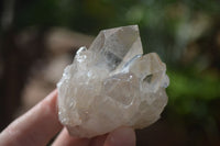 Natural Cascading Clear Quartz Crystals  x 12 From Luena, Congo - Toprock Gemstones and Minerals 