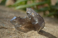 Natural Clear Smokey Quartz Crystals x 35 From Malawi