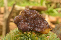 Natural Dark "Amethystos" Amethyst Clusters  x 15 From Kwaggafontein, South Africa - TopRock