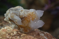 Natural Spirit Amethyst / Ametrine Quartz Clusters  x 6 From Boekenhouthoek, South Africa - Toprock Gemstones and Minerals 