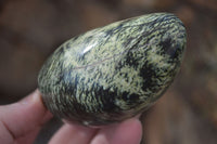 Polished Leopard Stone Standing Free Forms x 6 From Zimbabwe