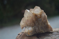 Natural Cascading White Phantom Smokey Quartz Specimens  x 6 From Luena, Congo - Toprock Gemstones and Minerals 