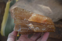 Natural Honey Aragonite Etched & Cobbed Pieces  x 2 From Namibia