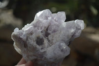 Natural Sugar Amethyst Clusters  x 3 From Zambia