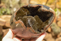 Polished Septerye Sauvage "Dragons Egg" Standing Free Forms  x 2 From Mahajanga, Madagascar - TopRock