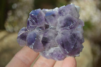 Natural Dark Amethyst Crystal Clusters x 12 From Zambia