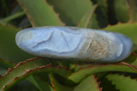 Polished Blue Lace Agate Free Forms  x 3 From Nsanje, Malawi