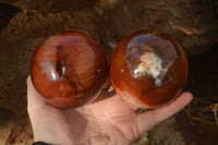 Polished  Stunning Carnelian Agate Spheres  x 2 From Madagascar