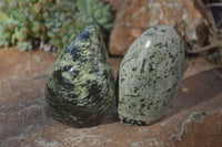 Polished Leopard Stone Standing Free Forms x 6 From Zimbabwe