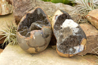 Polished Septerye Sauvage "Dragons Egg" Standing Free Forms  x 2 From Mahajanga, Madagascar - TopRock