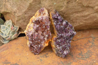 Natural Dark "Amethystos" Amethyst Clusters  x 24 From Kwaggafontein, South Africa - TopRock