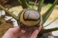 Polished Septaria Dragon's Eggs (Calcite & Aragonite) x 3 From Mahajanga, Madagascar - TopRock