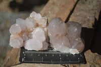 Natural Mixed Selection Of Spirit Amethyst Clusters  x 12 From Boekenhouthoek, South Africa - Toprock Gemstones and Minerals 