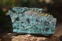 Natural Drusy Coated Chrysocolla Dolomite With Malachite Specimens x 4 From Likasi, Congo