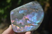 Polished Rare Purple Flash Labradorite Standing Free Forms  x 2 From Tulear, Madagascar - Toprock Gemstones and Minerals 