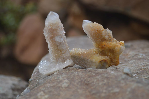 Natural Mixed Spirit Quartz Specimens x 55 From Boekenhouthoek, South Africa