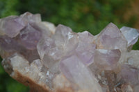 Natural Jacaranda Amethyst Cluster x 1 From Mumbwa, Zambia - TopRock