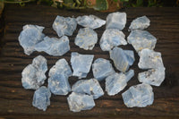 Natural New Sky Blue Calcite Specimens  x 35 From Spitzkop, Namibia