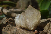 Natural Cascading Clear Quartz Crystals  x 12 From Luena, Congo - Toprock Gemstones and Minerals 